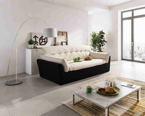 Beautifully Compressed Sofa Furniture – 2-Seater Loveseat, Accommodative Modern Living